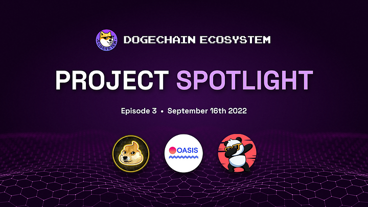 DC Dogechain Project Spotlight