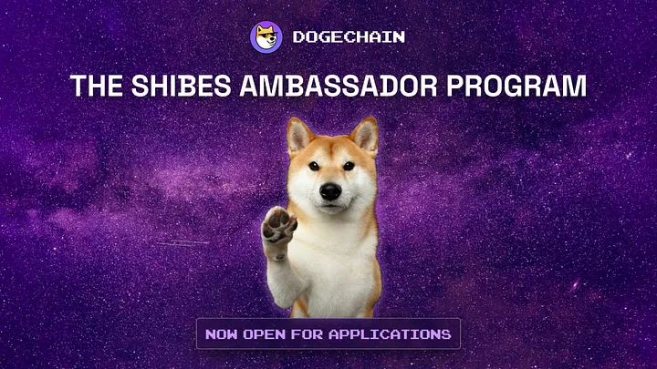 DC Dogechain Ambassadors