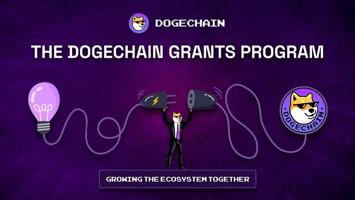 Dogechain DC Grants