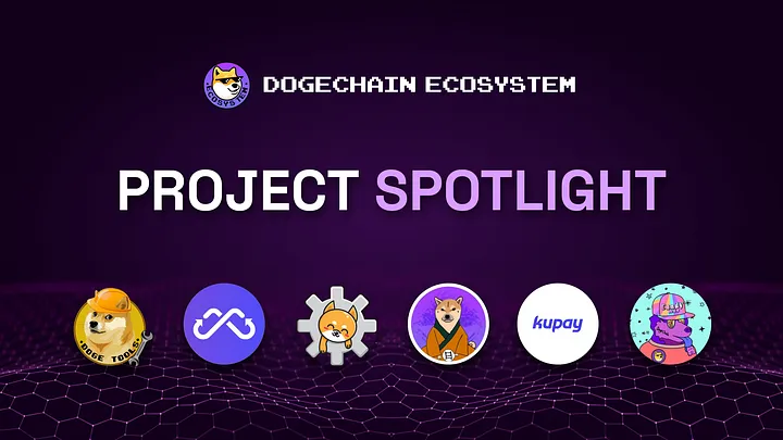 Dogechain DC Project Spotlight